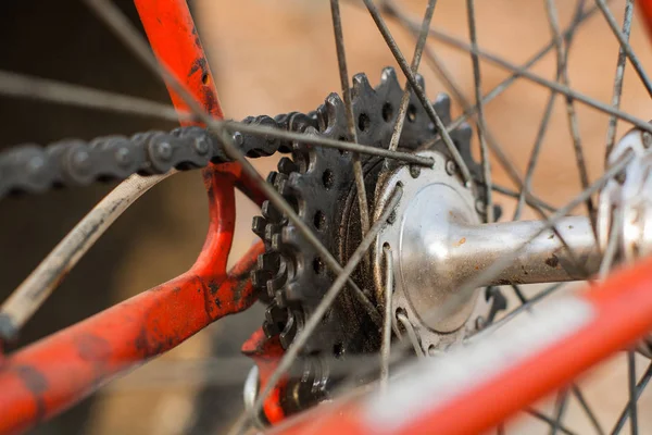 Roda dentada traseira de bicicleta vermelha fechar através do quadro — Fotografia de Stock