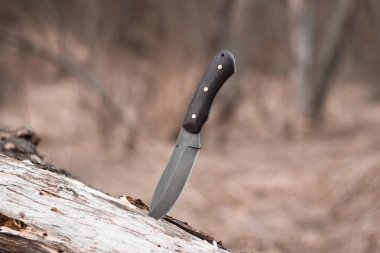 ağaçta sıkışmış bıçak