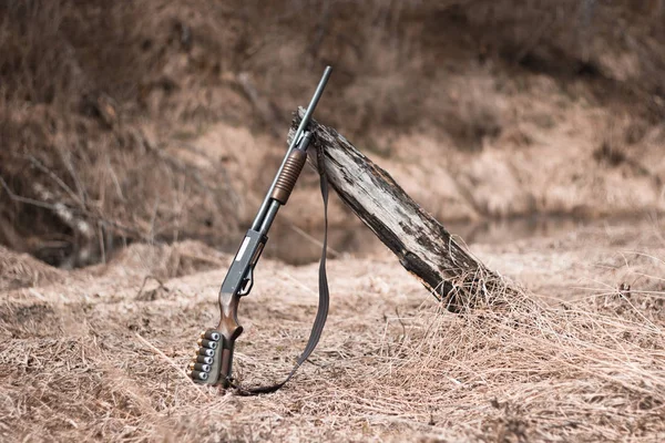 Pump-action shotgun in the woods — Stock Photo, Image