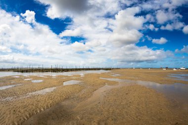 Arcachon basin parkta istiridye