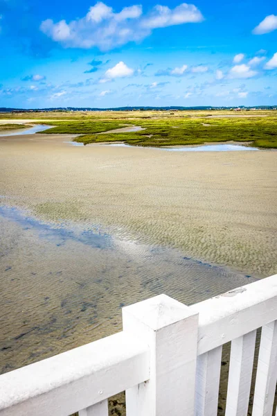 Arcachon basin içinde güzel bir ev