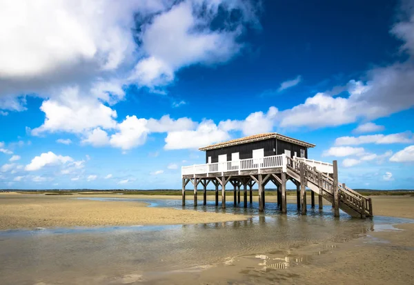 Arcachon basin içinde güzel bir ev