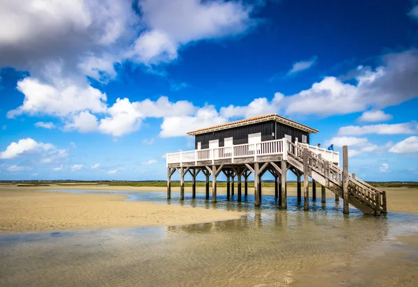 Arcachon basin içinde güzel bir ev