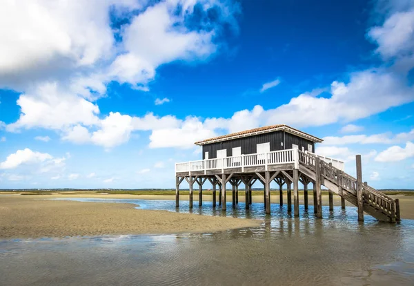 Arcachon basin içinde güzel bir ev