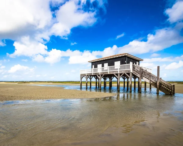 Arcachon basin içinde güzel bir ev