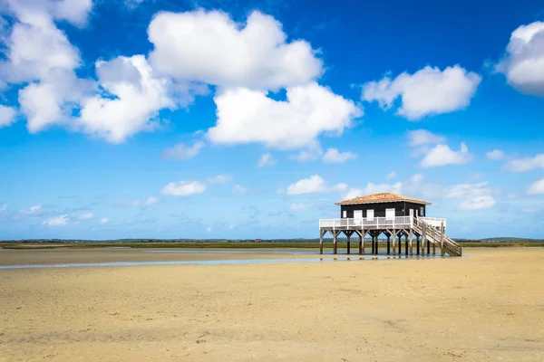 Arcachon basin içinde güzel bir ev