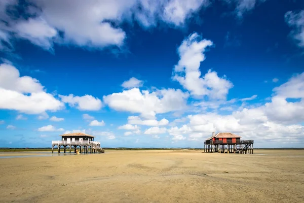 Arcachon basin içinde güzel bir ev