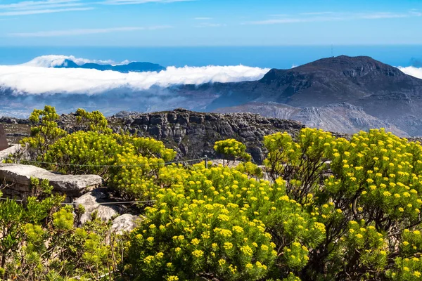 Cape Town 'daki Masa Dağı