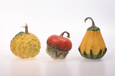 Ağaç Halloween pumpkins