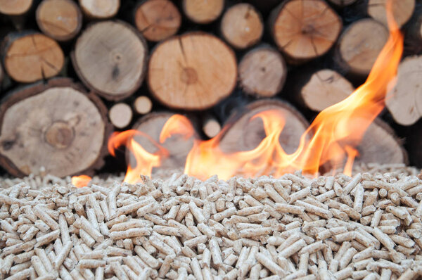 Burning oak pellet