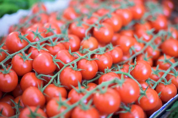 Ramo de tomates cereja — Fotografia de Stock