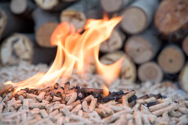 Trä Pellets i lågor — Stockfoto