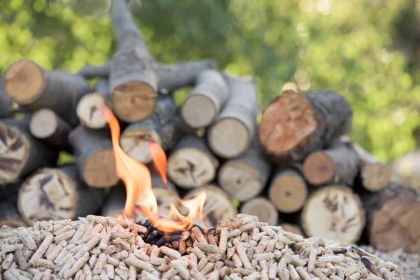 Biomassa in vlammen — Stockfoto