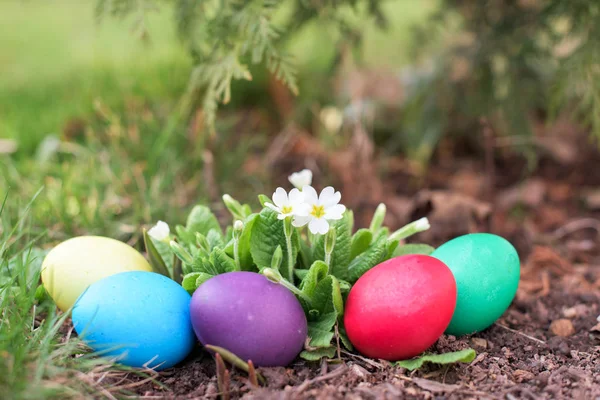 Caza de Pascua en primavera — Foto de Stock