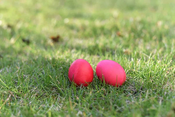 Dos huevos rojos de Pascua —  Fotos de Stock
