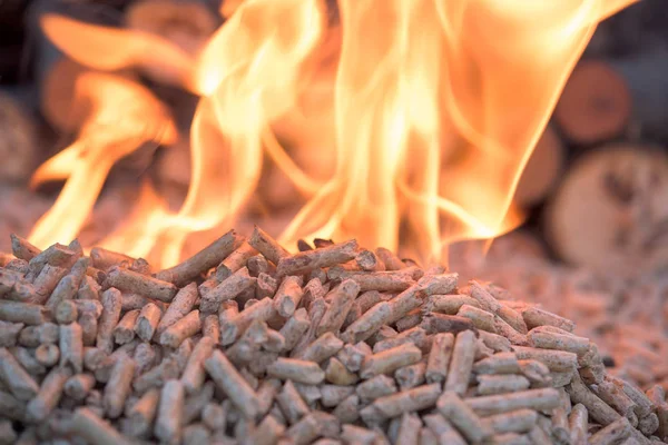 Biomass in fire — Stock Photo, Image