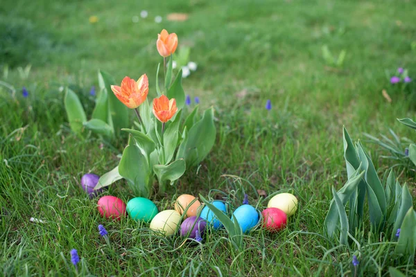 Eastwer eggs in a garden — Stock Photo, Image
