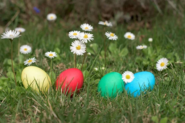 Œufs de Pâques dans un jardin — Photo