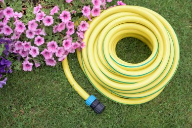 Plastic hose-pipe in the garden clipart