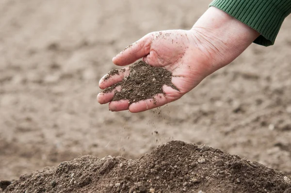 Soil in hand — Stock Photo, Image
