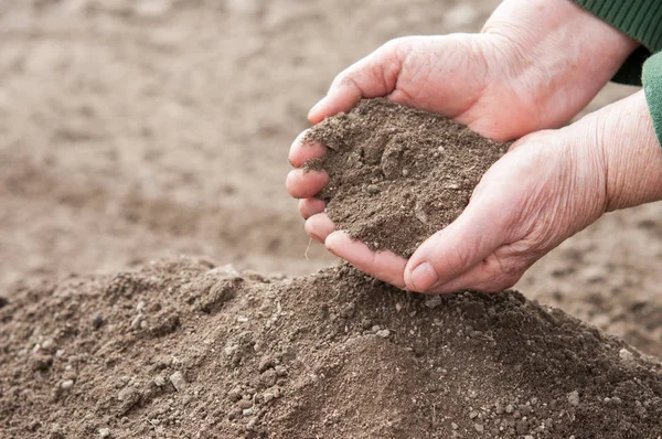 Soil in hand — Stock Photo, Image
