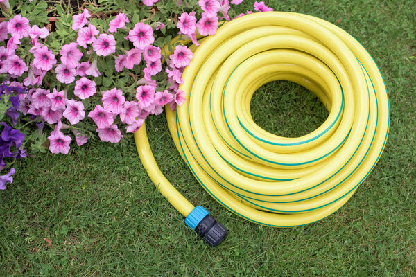 Plastic hose-pipe in the garden