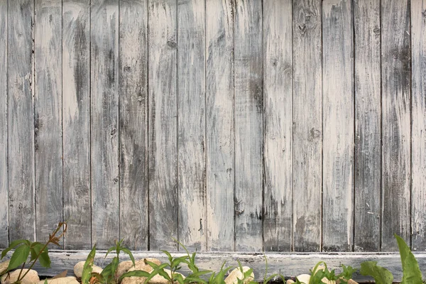 Teil der weißen Holztür — Stockfoto