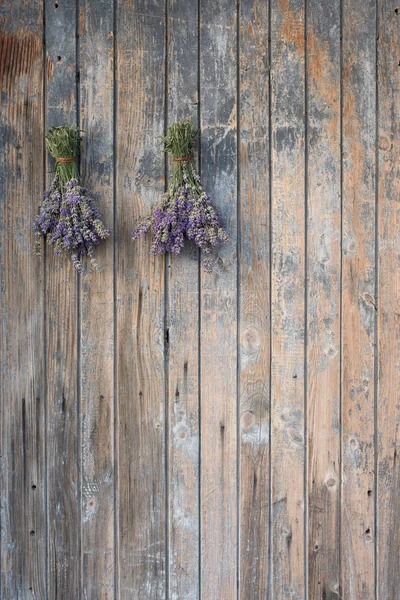 Twee lavendel boeketten — Stockfoto