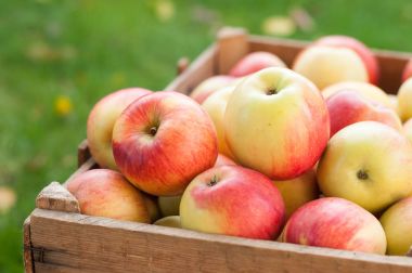 Appels içinde bir krater