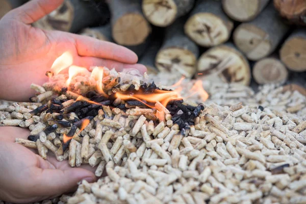 Biomasse in Flammen — Stockfoto