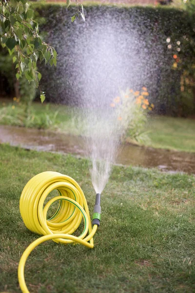 Hose pipe and spray — Stock Photo, Image