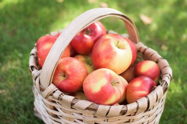 Sepette kırmızı elmalar