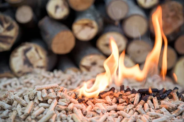 Biomass in flame — Stock Photo, Image