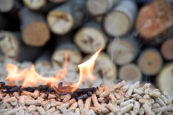 Eichenholzpellets in Flammen — Stockfoto