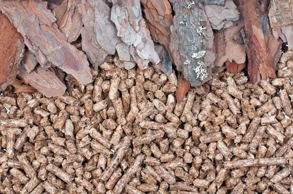 Pine  biomass and pellets — Stock Photo, Image