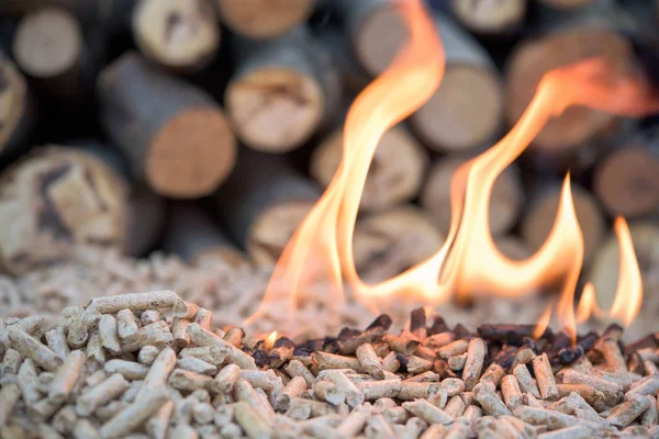 Burning biomass bellets — Stock Photo, Image