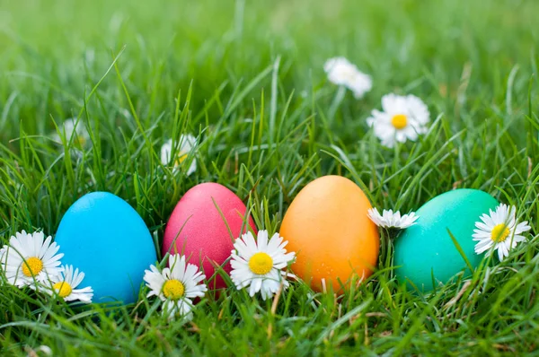 Cuatro huevos de Pascua — Foto de Stock