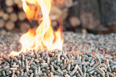 Biomass in flames clipart