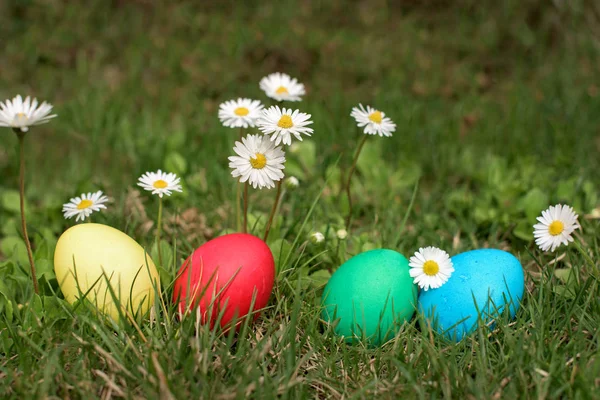 Пасхальные яйца подряд на траве — стоковое фото