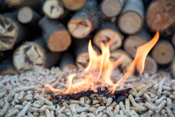 Biomassa de madeira - energia alternativa — Fotografia de Stock