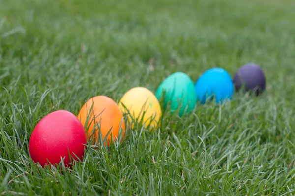 Easter hunt in a garden — Stock Photo, Image