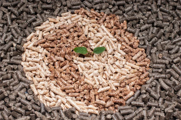 Trois sortes de biomasse en bois — Photo