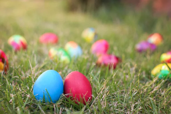 Modré a červené velikonoční slepičí vejce — Stock fotografie