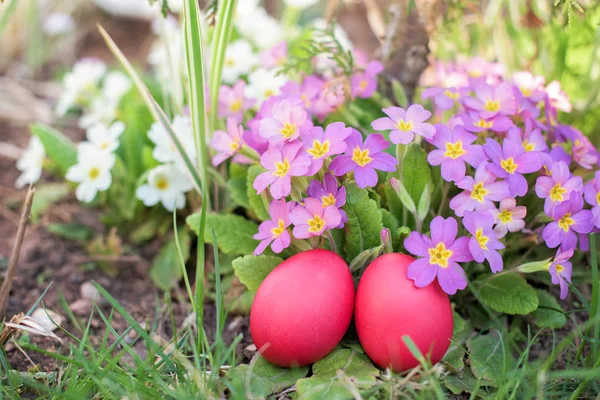 Два червоних великодні яйця в саду — стокове фото