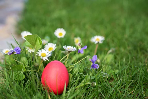 Red hen Easter egg in the flower garden — Stock Photo, Image