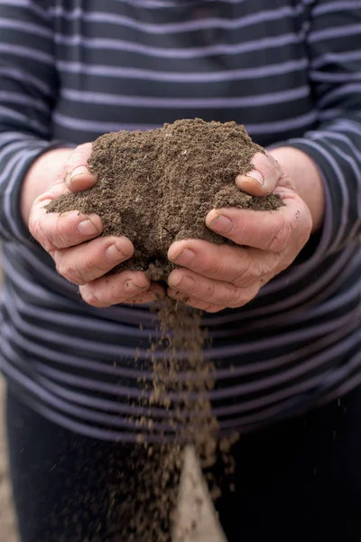 Почва в руках — стоковое фото