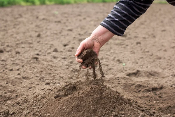 Просеивать почву — стоковое фото