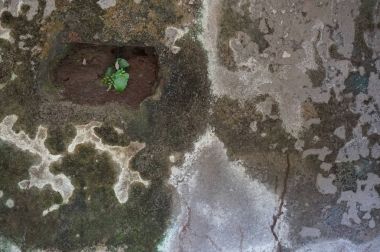 Eski şekillendirici karanfiller ile doku