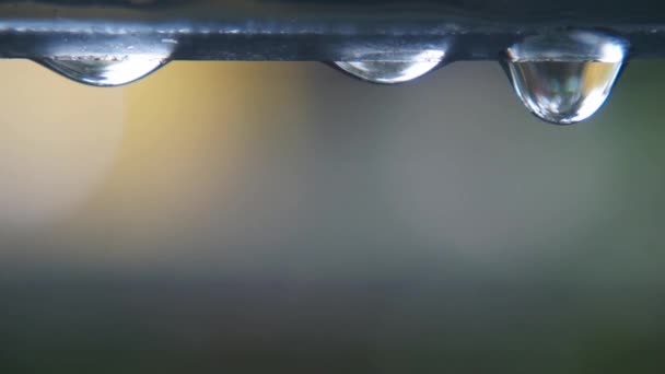 Gota Agua Cerca Una Vid Uva Refracción Luz Solar Que — Vídeo de stock