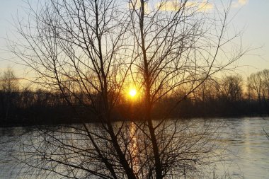 Nehirde gün doğumu ve sabah sisi. Su üzerindeki sis ve ağaçların göldeki yansıması. Doğa ve manzara. Güneşin mavi gökyüzünde belirdiği gün batımı. Sisli ve sisli manzara